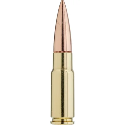 BLACK 338 ARC 175GR HOLLOW POINT MATCH 20/BOX